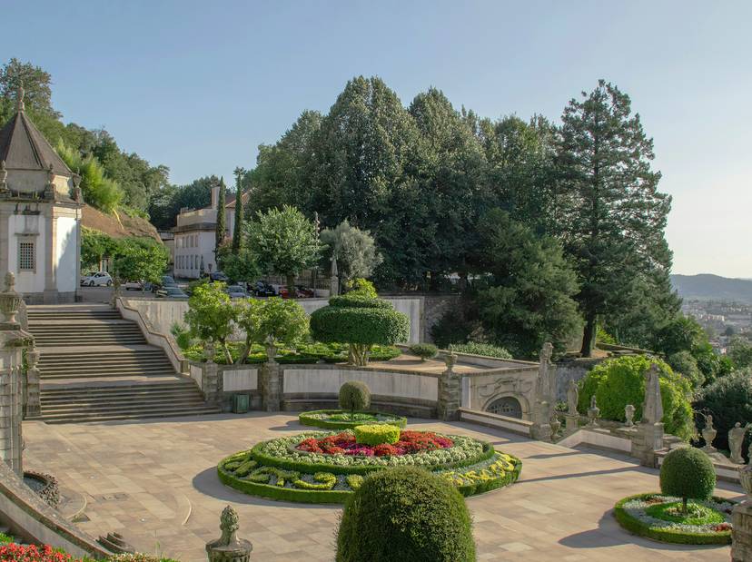Un hermoso jardín paisajístico con plantas bien cuidadas y una vista panorámica.
