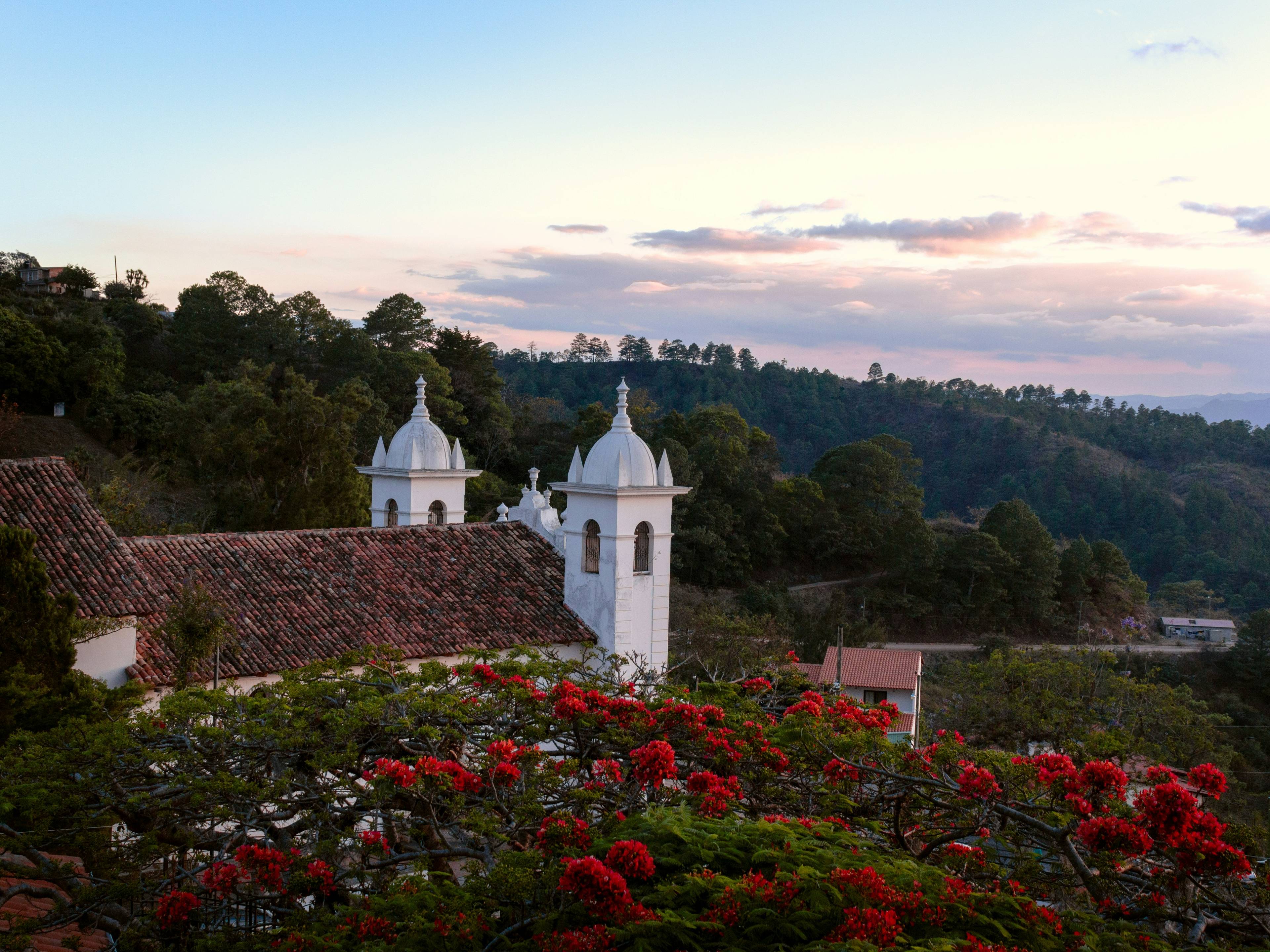 Una vista panorámica de un paisaje montañoso con flores rojas y edificios blancos al atardecer.