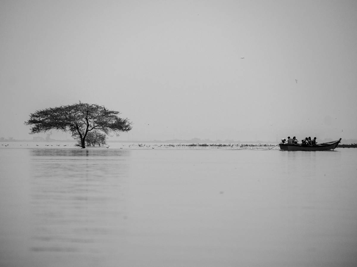 Una escena minimalista en blanco y negro que muestra un árbol solitario en medio del agua con un bote y personas al fondo.